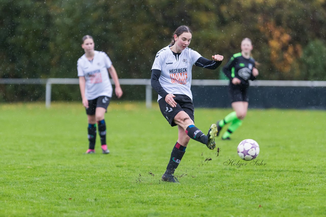 Bild 183 - wBJ SV Henstedt Ulzburg - FSG Oldendorf Itzehoe : Ergebnis: 1:5